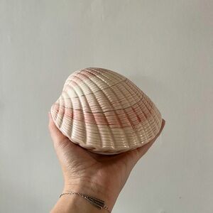 Seashell Jewelry Dish